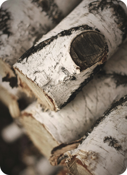 viktoriya-burnashova-Lo85z9ehI3Q-unsplash