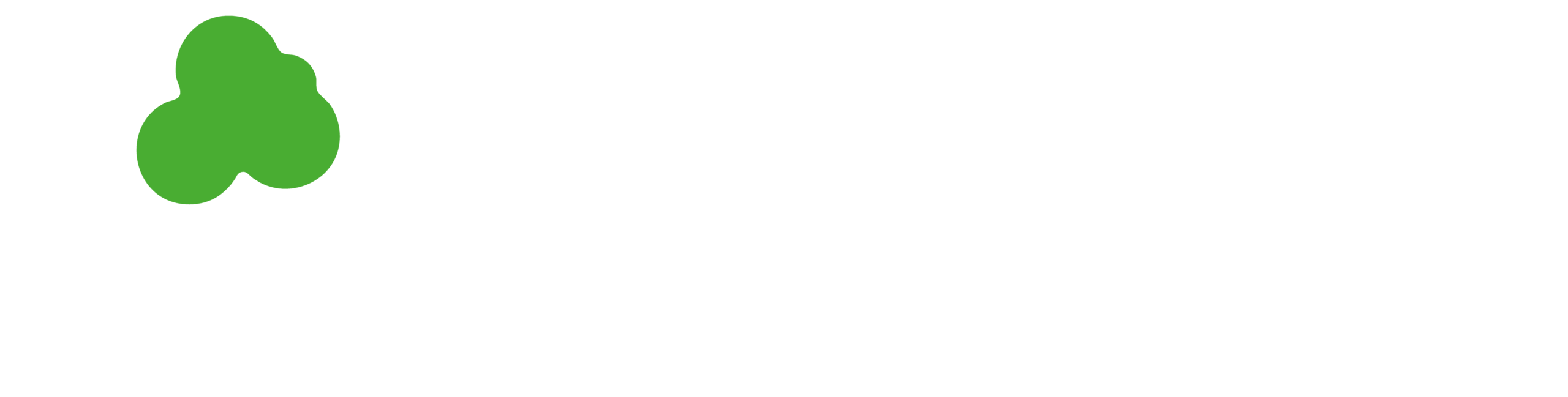 Heinenhof_Brennholz_white