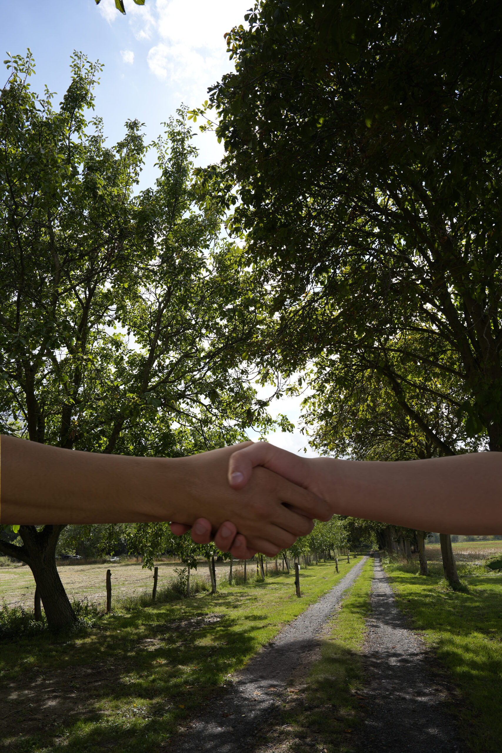 _A7_1731_Handschlag